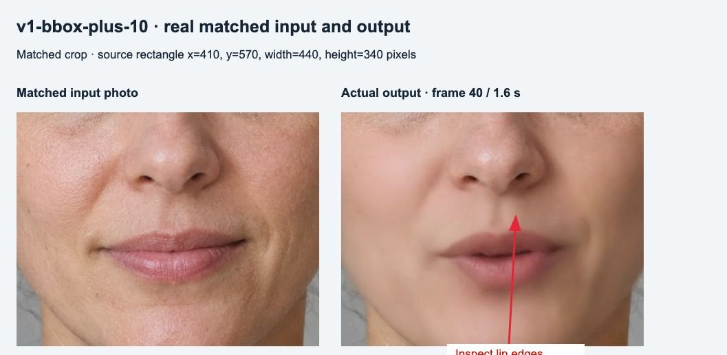 Matched mouth crop: original input on the left; actual output at frame 40 on the right. Arrows identify inspection areas.