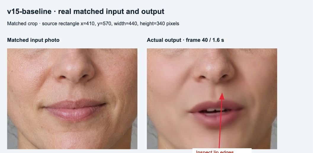 Matched mouth crop: original input on the left; actual output at frame 40 on the right. Arrows identify inspection areas.