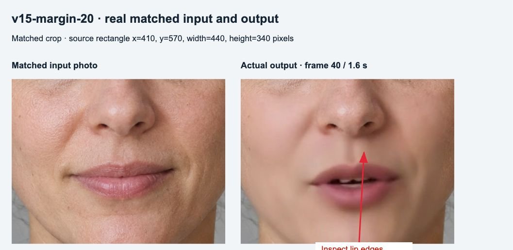Matched mouth crop: original input on the left; actual output at frame 40 on the right. Arrows identify inspection areas.