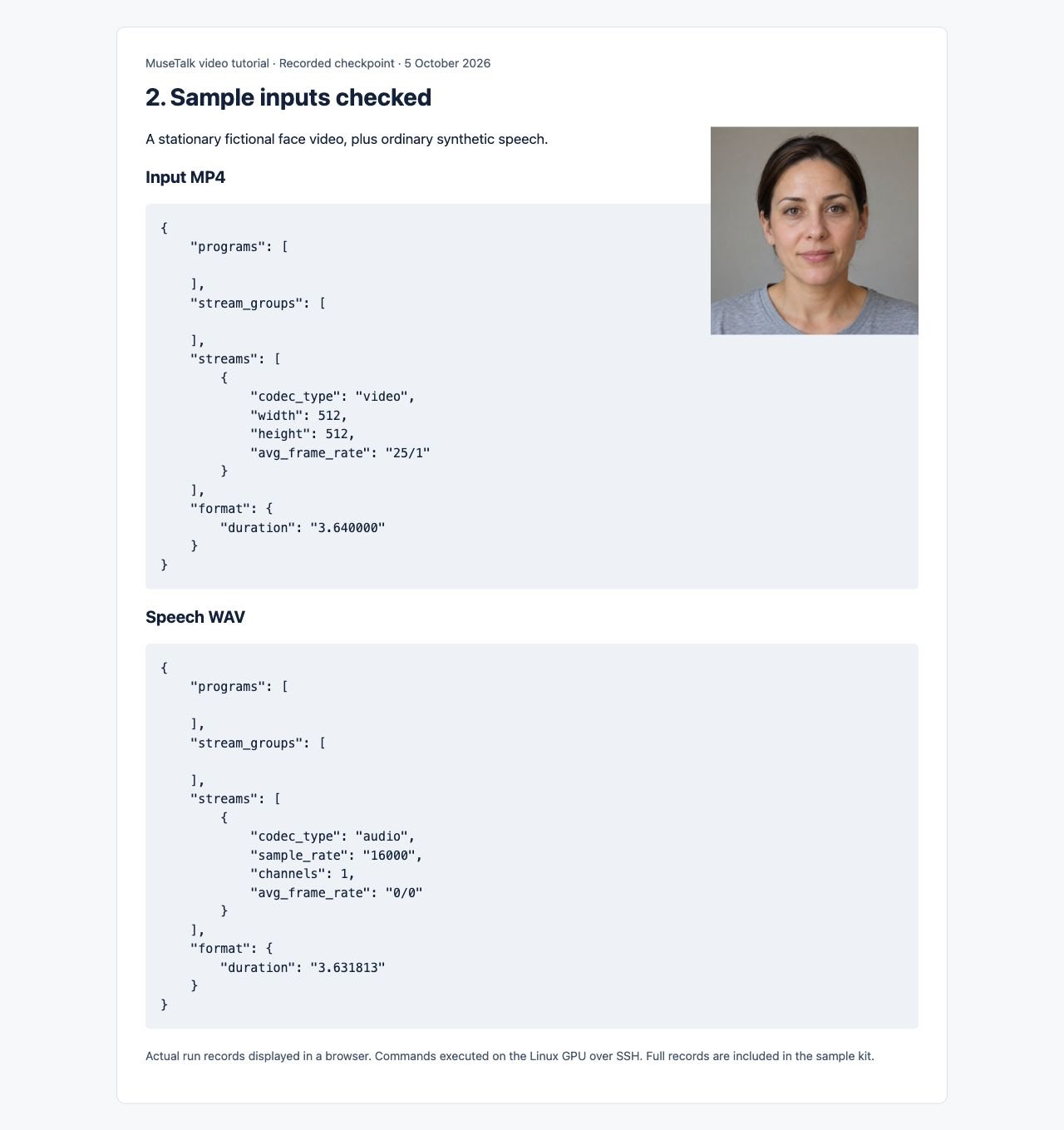 Fictional sample portrait with recorded video and speech properties